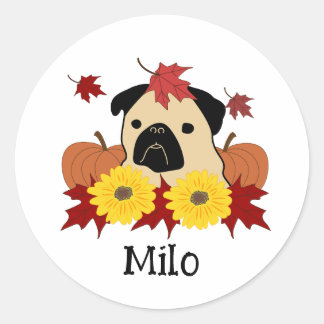 Fall Pug with Leaves, Pumpkins, and Sunflowers Classic Round Sticker