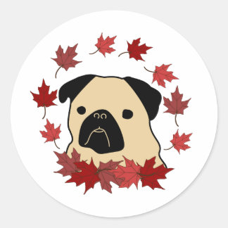 Fall Pug with Tossed Leaf Wreath Classic Round Sticker