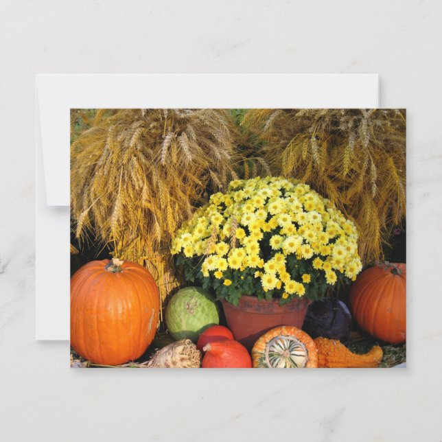 Fall Pumpkin and Wheat Invitation (Front)