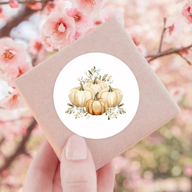 Fall Pumpkin Happy Thanksgiving  Classic Round Sticker (Creator Uploaded)
