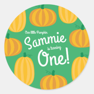 Fall Pumpkin Patch 1st Birthday Party Theme Classic Round Sticker