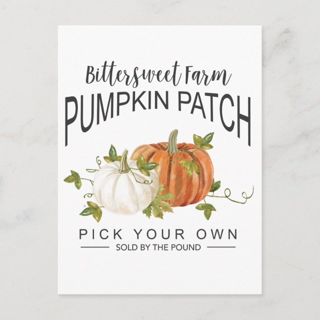 FALL PUMPKIN PATCH POSTCARD (Front)