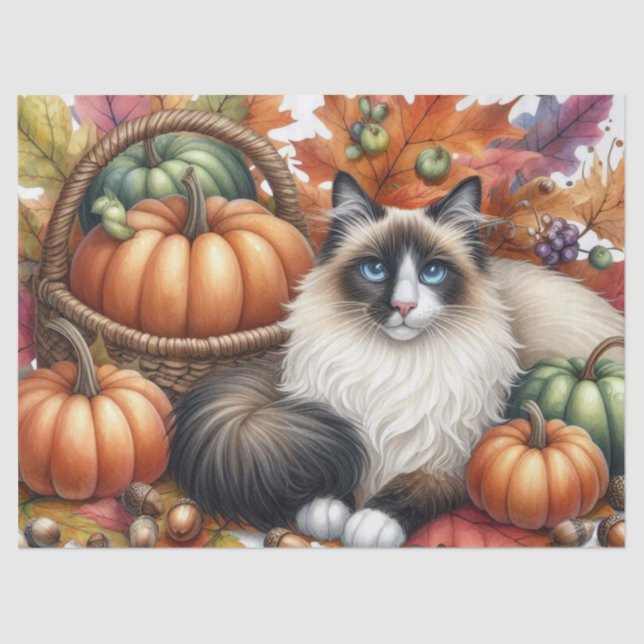 Fall Pumpkins Autumn Leaves Ragdoll Cat  Tissue Paper (Front)