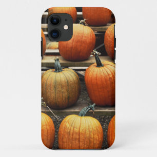 Fall pumpkins Case-Mate iPhone case