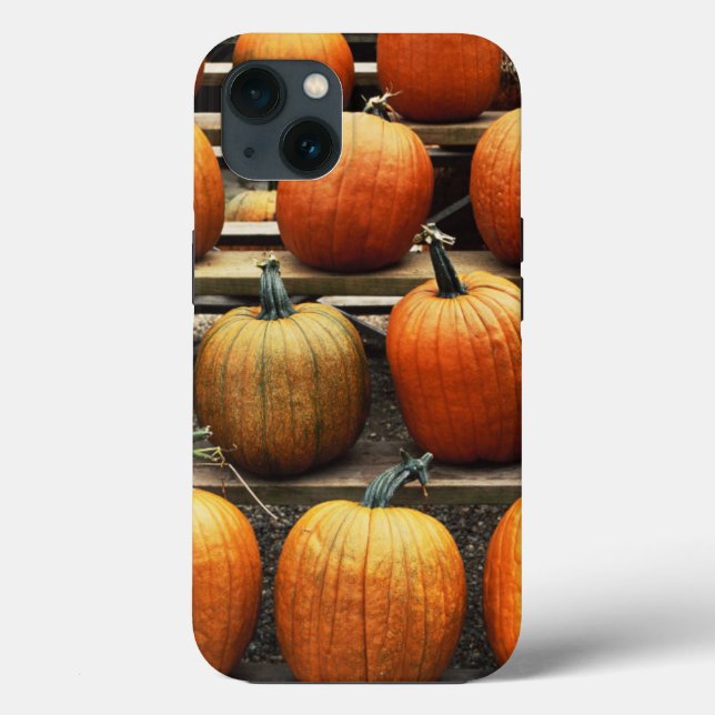 Fall pumpkins Case-Mate iPhone case (Back)