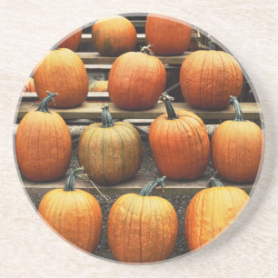 Fall pumpkins coaster