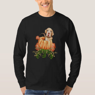 Fall Pumpkins Cute Autumn Pitbull Clothes For Dogs T-Shirt