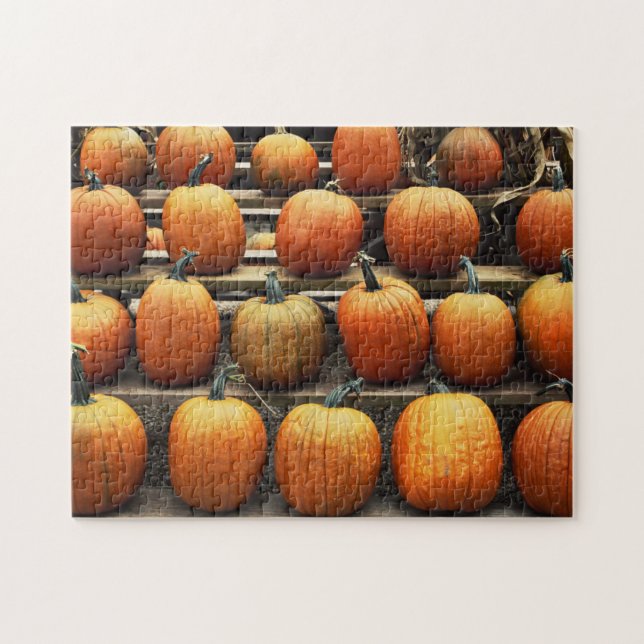 Fall pumpkins jigsaw puzzle (Horizontal)