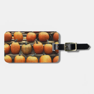 Fall pumpkins luggage tag