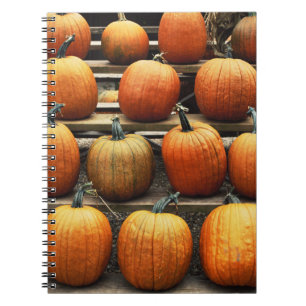 Fall pumpkins spiral notebook