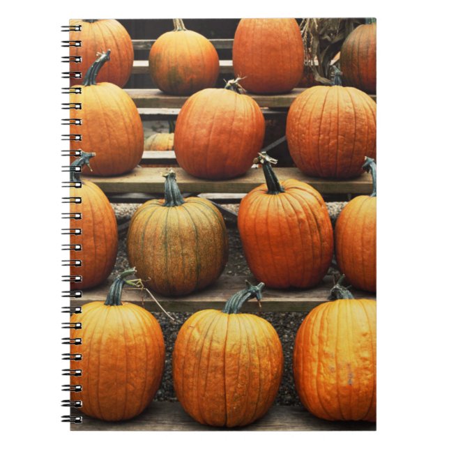 Fall pumpkins spiral notebook (Front)
