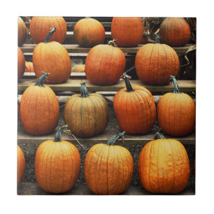 Fall pumpkins tile