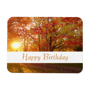 Fall red maple forest birthday magnet