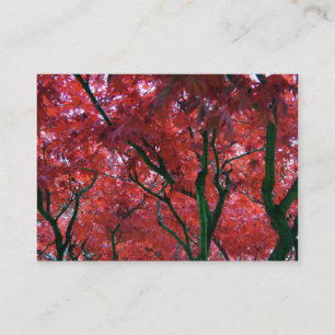 fall red maple leaves business card