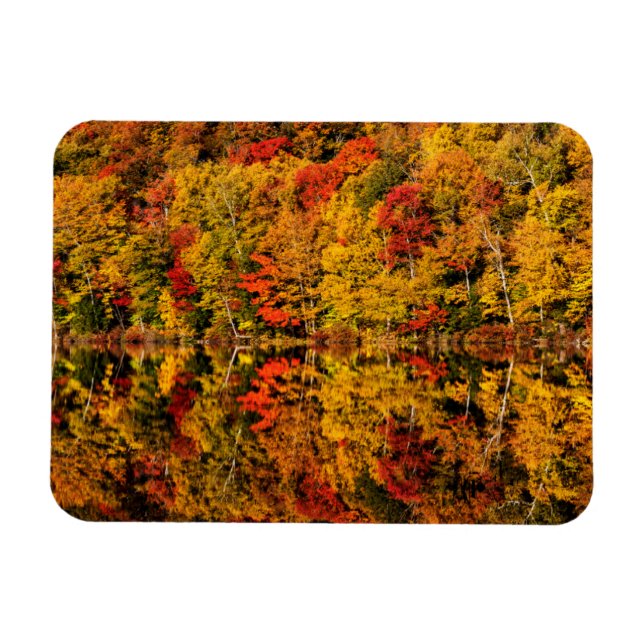 Fall Reflection on Russell Pond | New Hampshire Magnet (Horizontal)