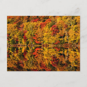 Fall Reflection on Russell Pond   New Hampshire Postcard