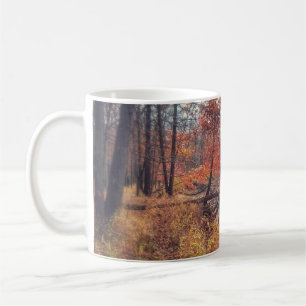 Fall river scene mug