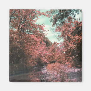 Fall Scenic Path Magnet