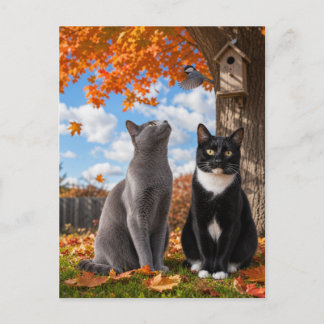 Fall Season Cats Sitting Under Maple Tree  Postcard