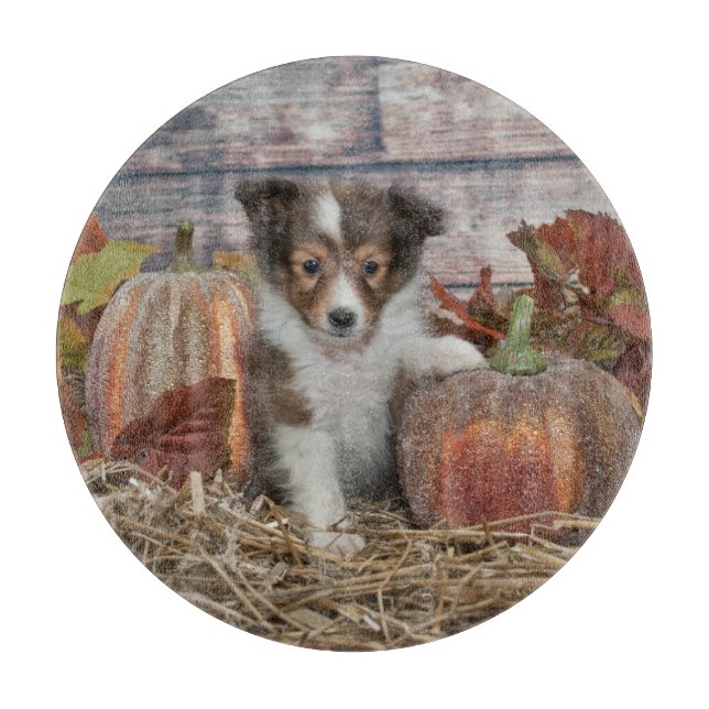 Fall Sheltie Puppy Cutting Board (Front)