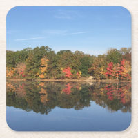 Fall Splendour Coasters
