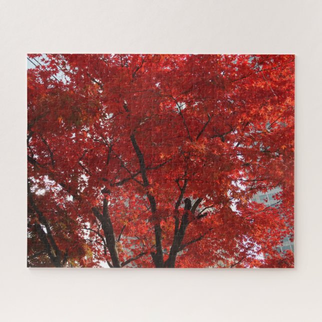 Fall Splendour of the Red Tree Leaves Jigsaw Puzzle (Horizontal)