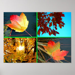 Fall Splendour Poster