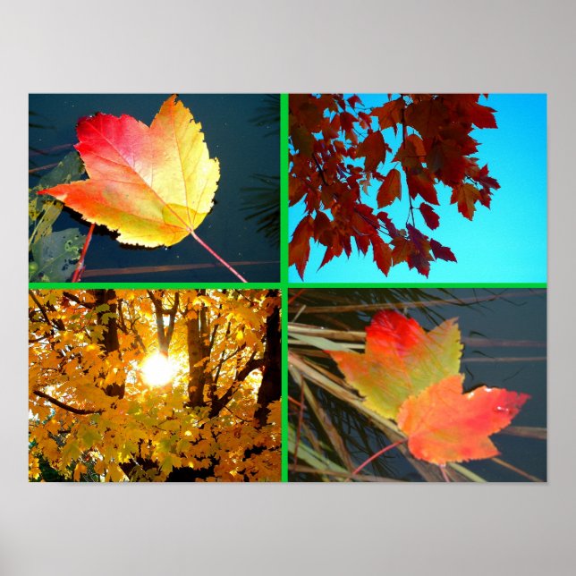 Fall Splendour Poster (Front)