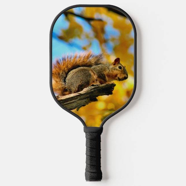 Fall squirrels pickleball paddle (Front)