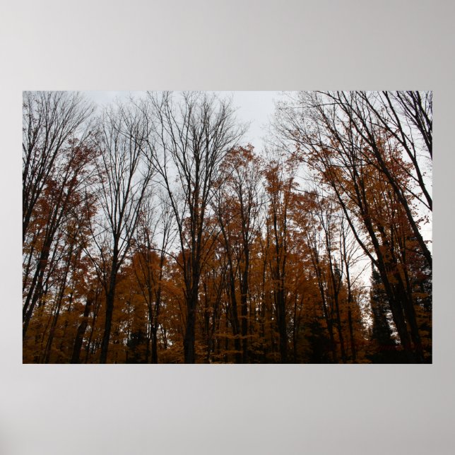 Fall Standing Tall Poster (Front)