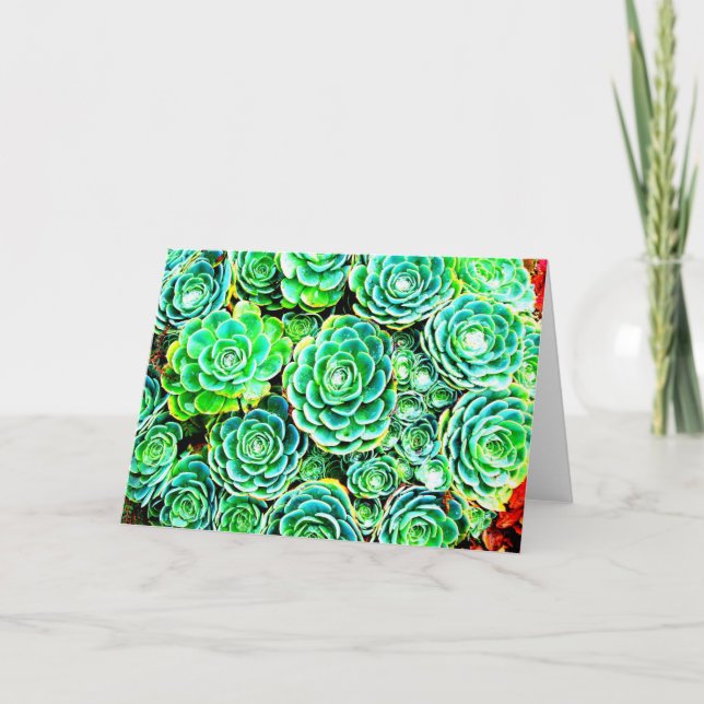 Fall Succulent Note Card (Front)