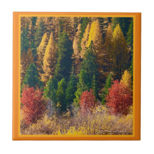 Fall Tamarack Tile