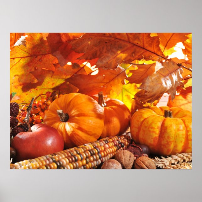 Fall Thanksgiving Harvest - Pumpkins, Corn, Apple Poster (Front)