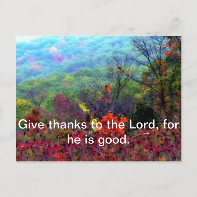 Fall Thanksgiving Photograph Holiday Postcard (Front)