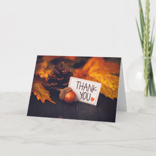 Fall Thanksgiving Photography Pumpkin Photography Card