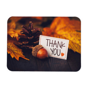 Fall Thanksgiving Photography Pumpkin Photography Magnet