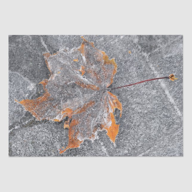 Fall Themed Maple Leaf Orange Grey Autumn Tissue Paper (Front)