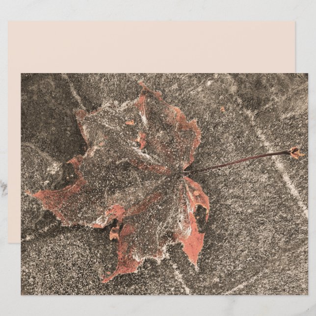 Fall Themed Maple Leaf Vintage Sepia Autumn (Front/Back)