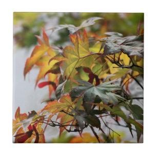 Fall Tile