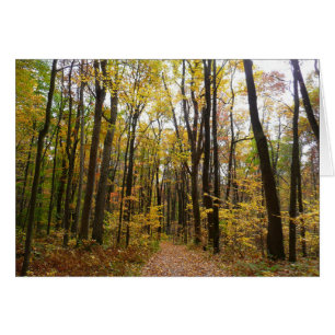 Fall Trail and Golden Leaves at Laurel Hill Park