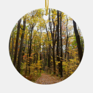 Fall Trail and Golden Leaves at Laurel Hill Park Ceramic Tree Decoration