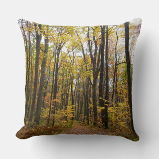 Fall Trail and Golden Leaves at Laurel Hill Park Cushion