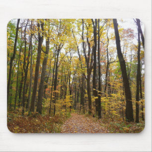 Fall Trail and Golden Leaves at Laurel Hill Park Mouse Pad