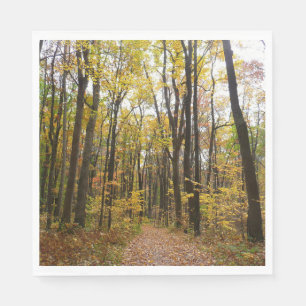 Fall Trail and Golden Leaves at Laurel Hill Park Napkin