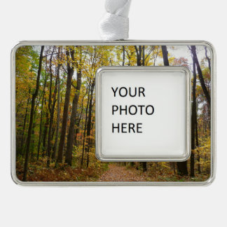 Fall Trail and Golden Leaves at Laurel Hill Park Silver Plated Framed Ornament