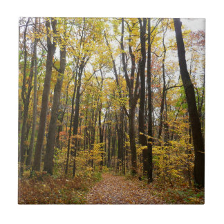 Fall Trail and Golden Leaves at Laurel Hill Park Tile