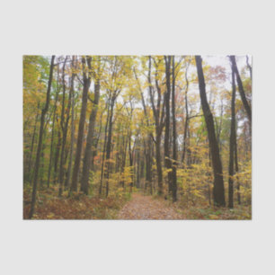 Fall Trail and Golden Leaves at Laurel Hill Park Tissue Paper