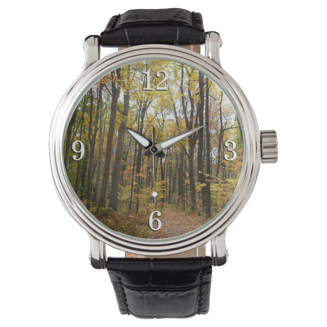 Fall Trail and Golden Leaves at Laurel Hill Park Watch (Front)