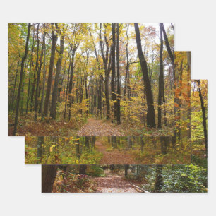 Fall Trail and Golden Leaves at Laurel Hill Park Wrapping Paper Sheet