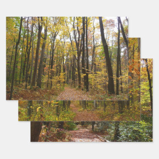 Fall Trail and Golden Leaves at Laurel Hill Park Wrapping Paper Sheet